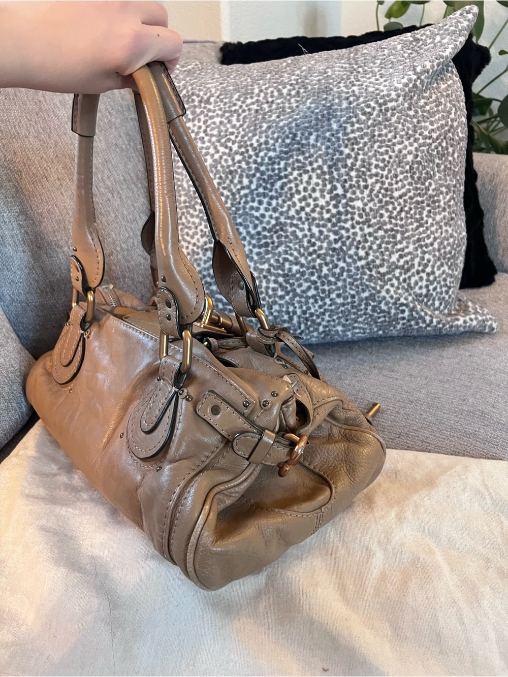 Chloe Paddington Soft Taupe Leather Handbag with Gold Accents - Picture 3 of 11